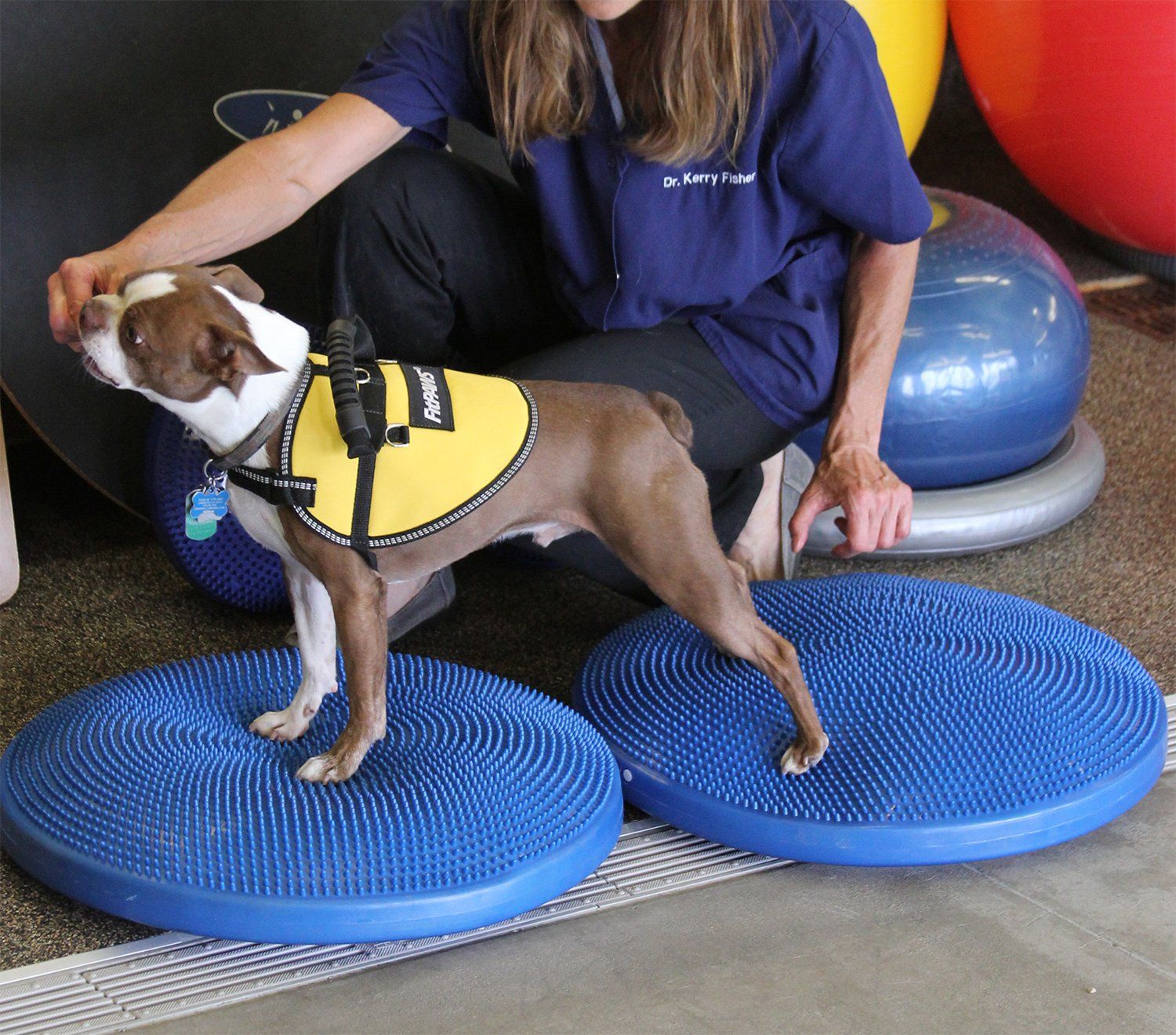 FitPAWS Balance Discs