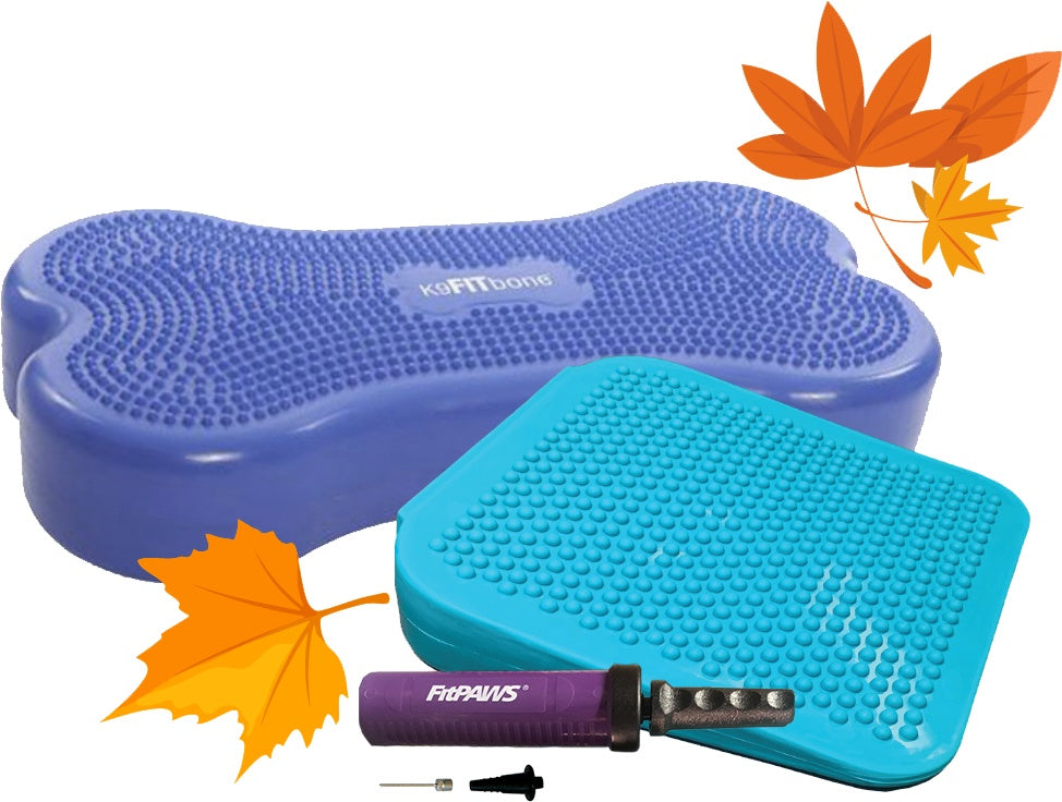 FitPAWS Ramp Up To Fall Canine Fitness Kit