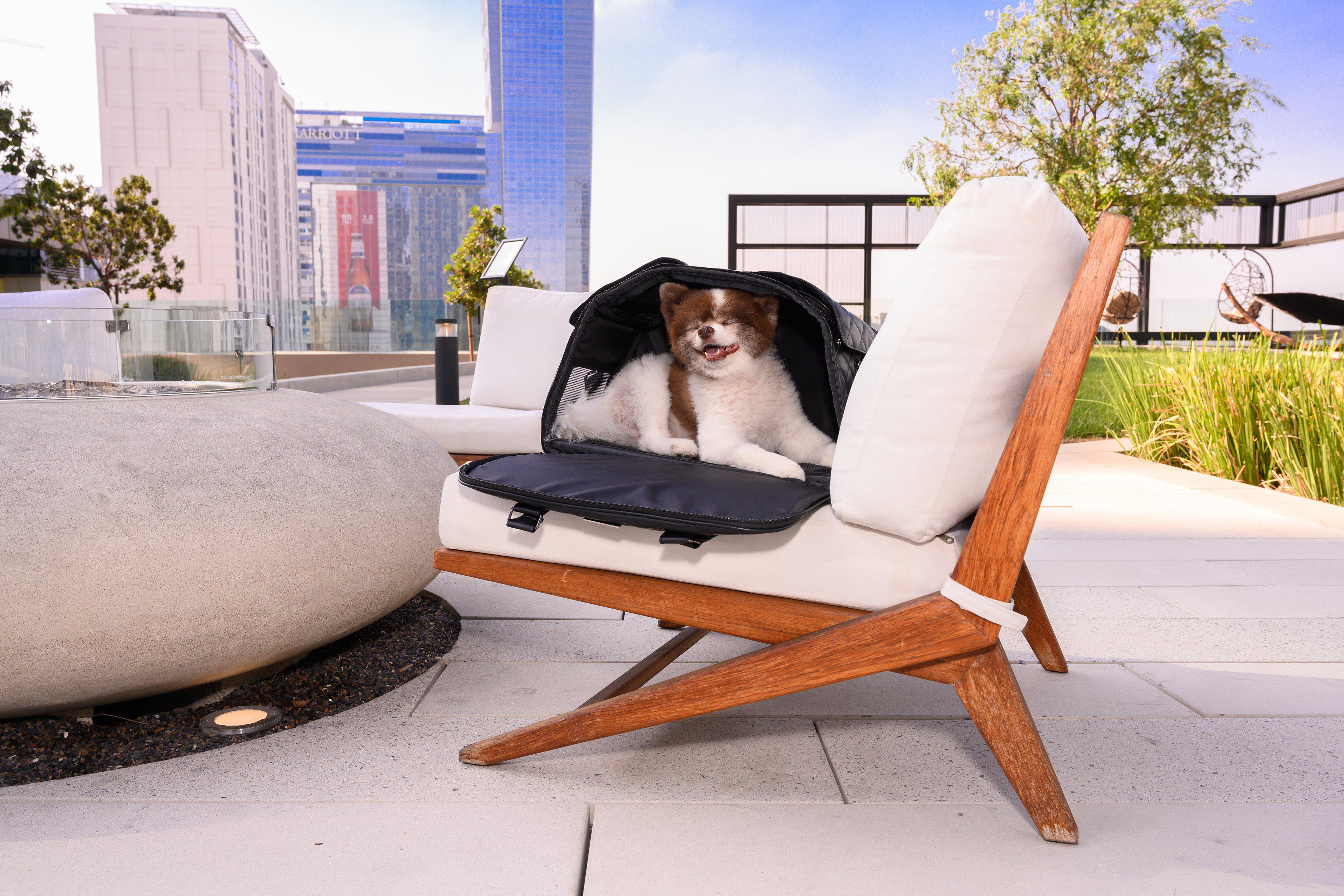 Petique The Lux Pet Carrier