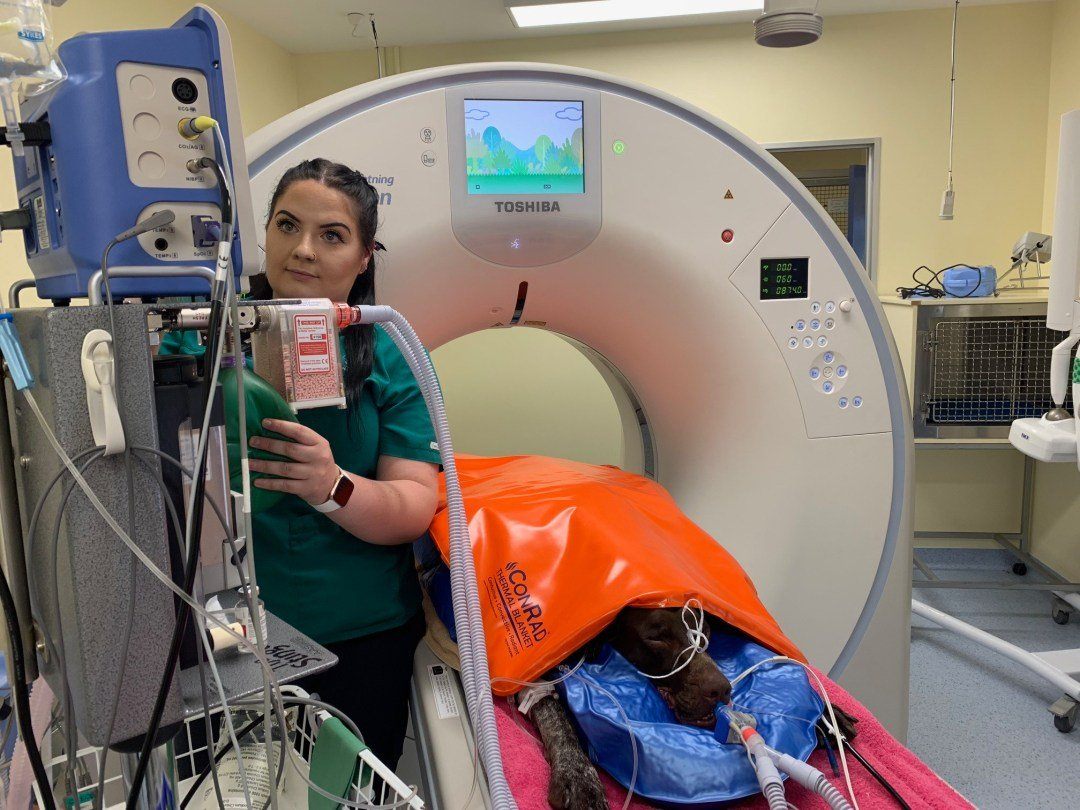 Veterinary Warming Solutions ConRad MRI-Safe Thermal Blanket