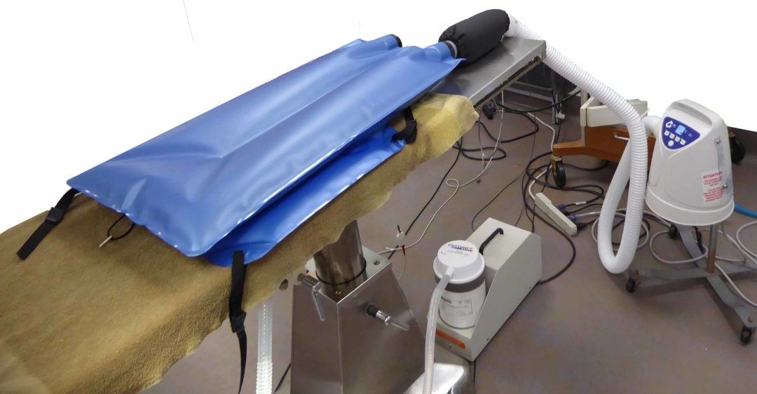 Veterinary Warming Solutions HoverHeat Connector