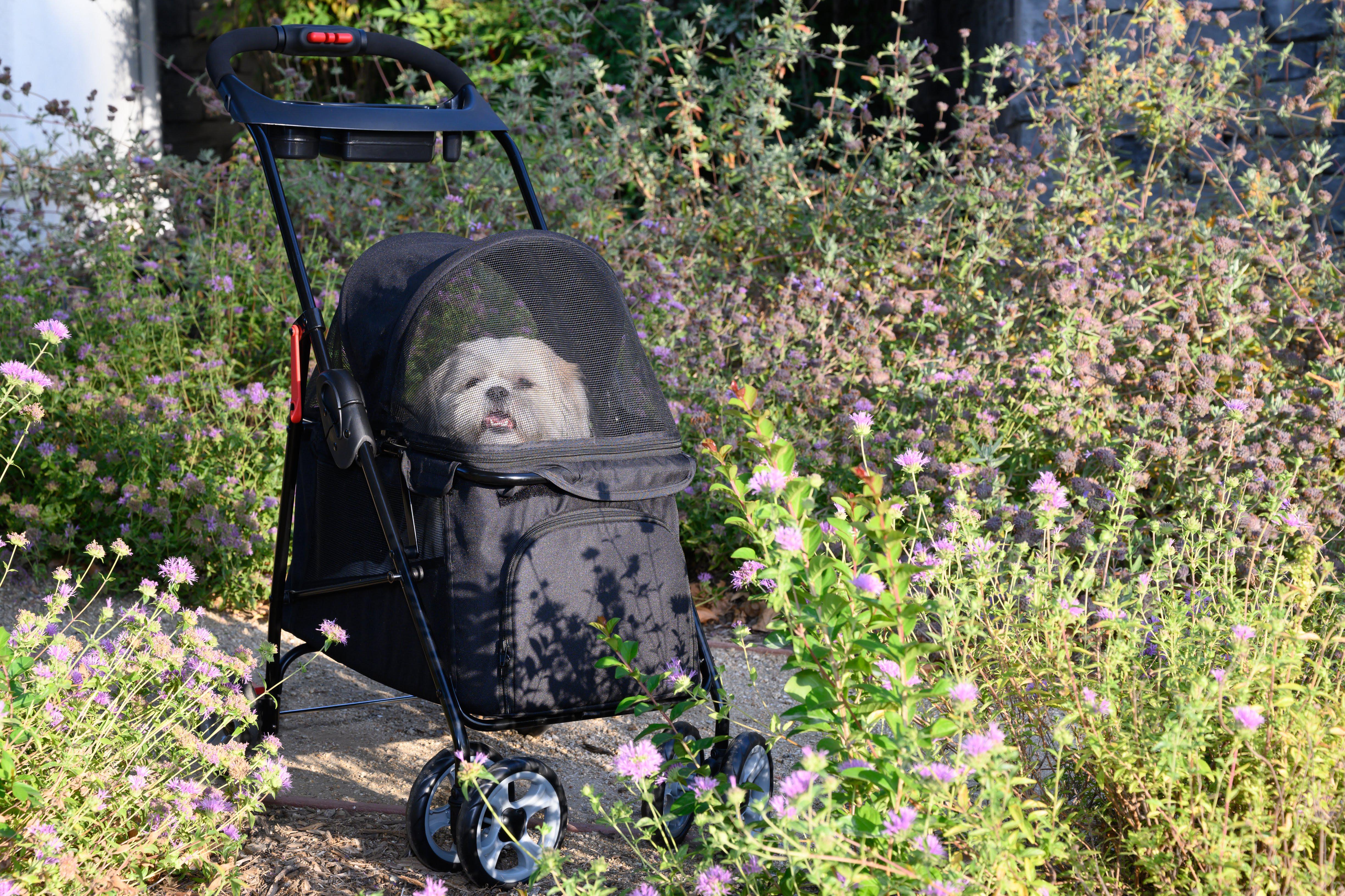 Pet and Pets Simplicity Pet Stroller