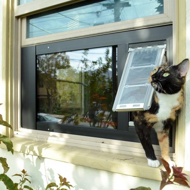 Endura Flap® by Patio Pacific - Thermo Sash 3e - Sash Window Cat & Dog Door