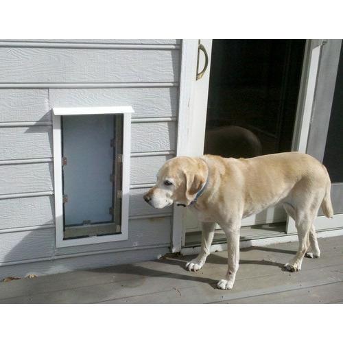 Hale Pet Door for Walls | Secure In Wall Mount Dog Door & Cat Door