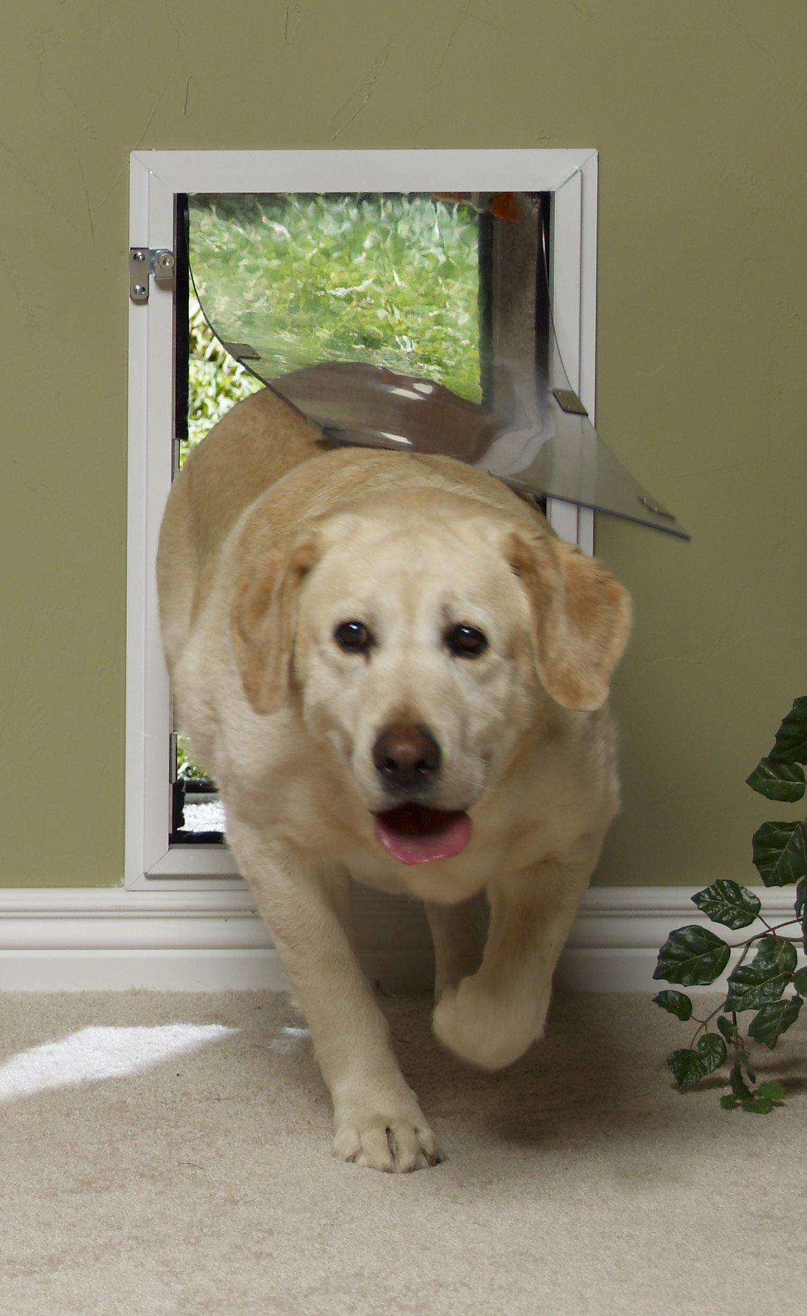 Hale Pet Door for Walls | Secure In Wall Mount Dog Door & Cat Door