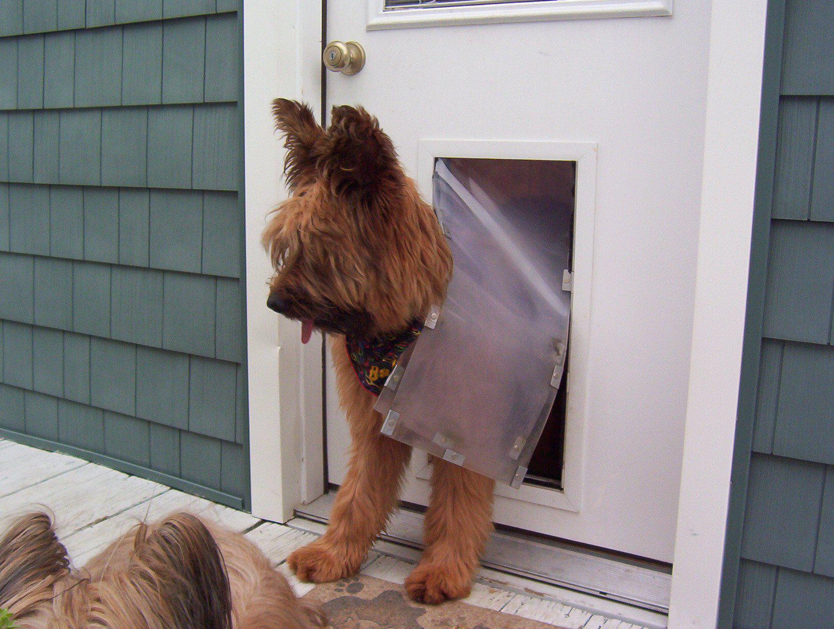 Hale Pet Door - In Door Mount Installation Dog Door & Cat Door