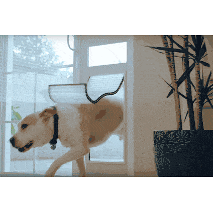 Pet & Dog Doors - High Tech Pet Armor Flex Low-E Patio Pet Doors - Regular Height