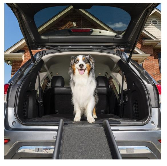 PetSafe Happy Ride™ Folding Dog Ramp