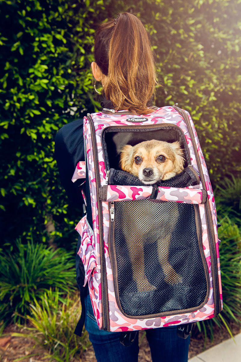 Petique 5-in-1 Pet Stroller (Complete Set with Pet Carrier and Stroller Frame)