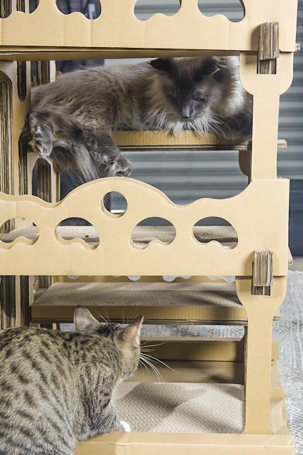Petique Feline Château Cat House