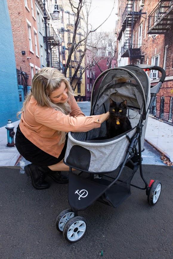 Petique Glacier Pet Stroller