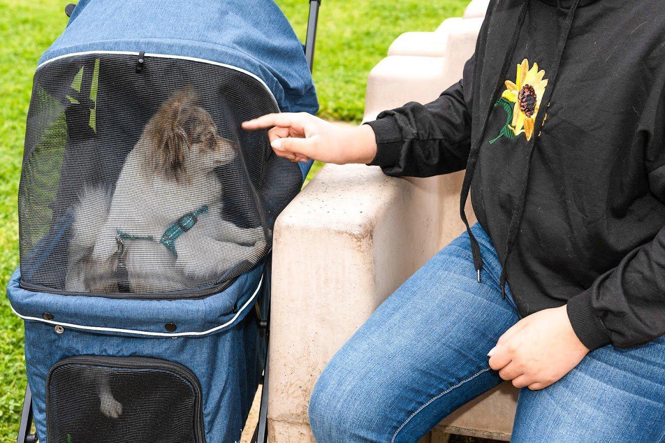 Pet and Pets Malibu Pet Stroller