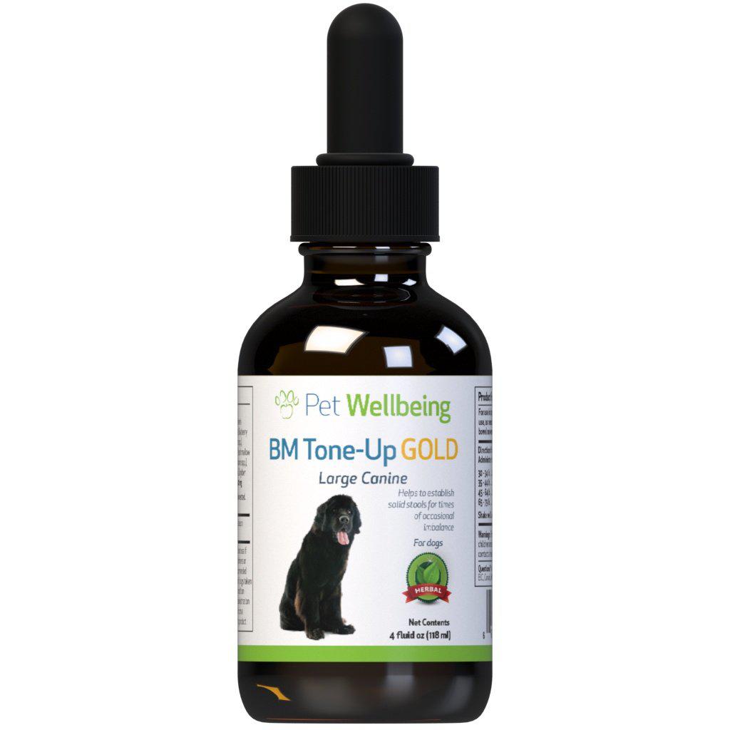Pet Wellbeing BM Tone-Up Gold - Dog Diarrhea Support