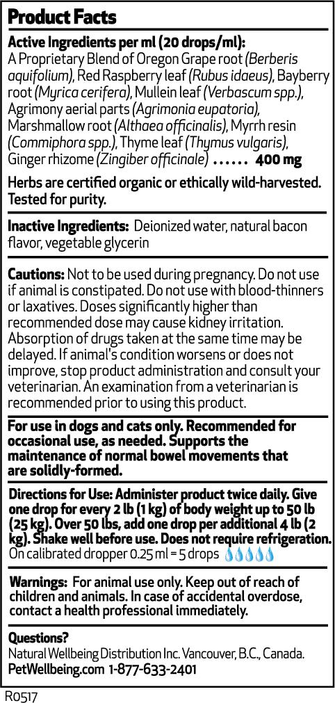 Pet Wellbeing BM Tone-Up Gold - Dog Diarrhea Support