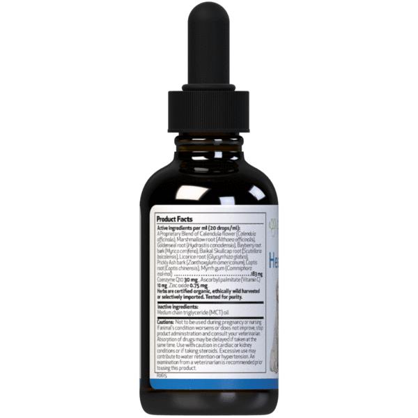 Pet Wellbeing Healthy Gums for Feline Periodontal Health