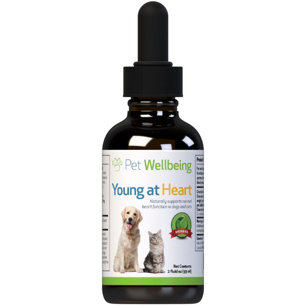 Pet Wellbeing Young at Heart for Dog Heart Disease