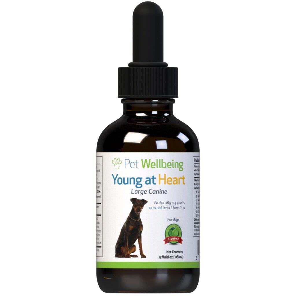 Pet Wellbeing Young at Heart for Dog Heart Disease