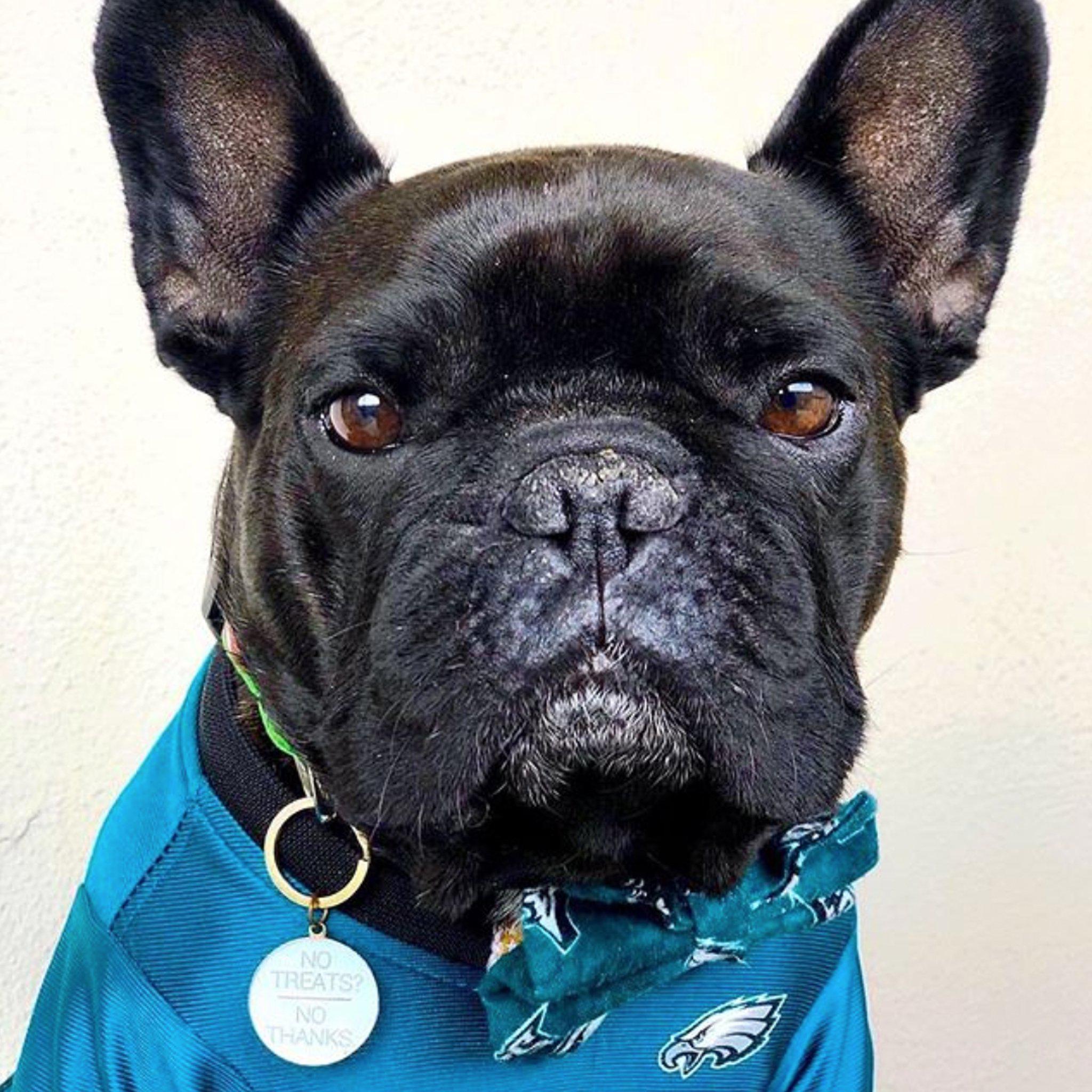 NO TREATS? NO THANKS. DOG ID TAG CHARM