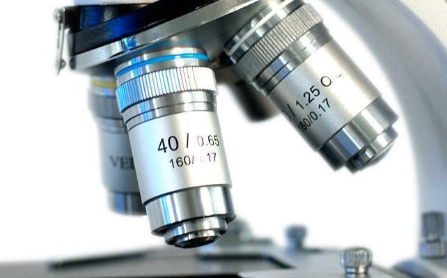 VELAB Biological Binocular Microscope (Basic)