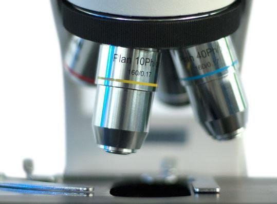VELAB Binocular Phase Contrast Microscope