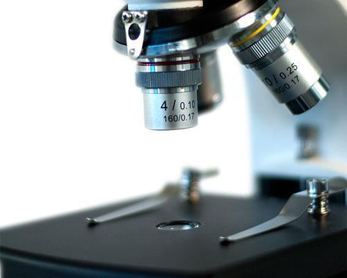 VELAB Biological Monocular Microscope (Intermediate)