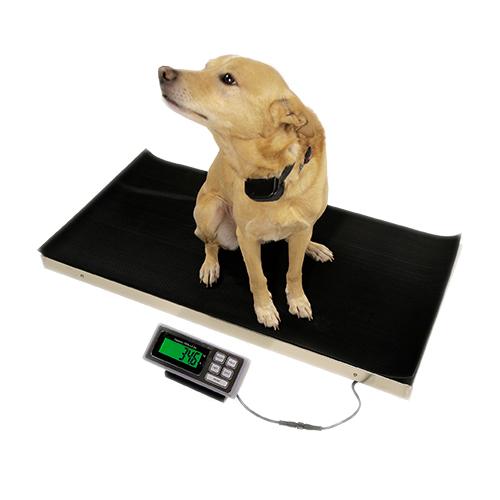 DRE Veterinary Scales