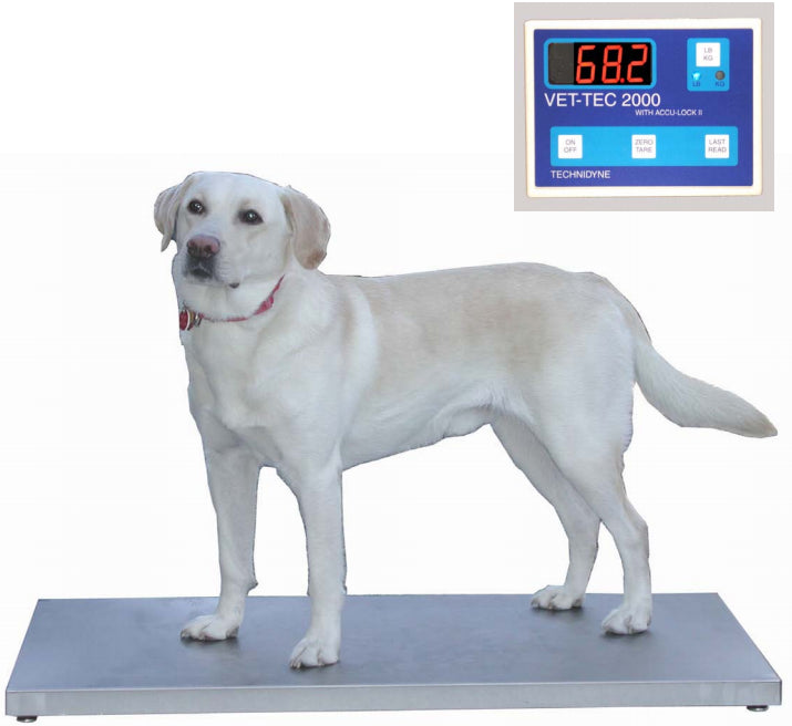 VetLine Digital Walk-On Weigh Scale