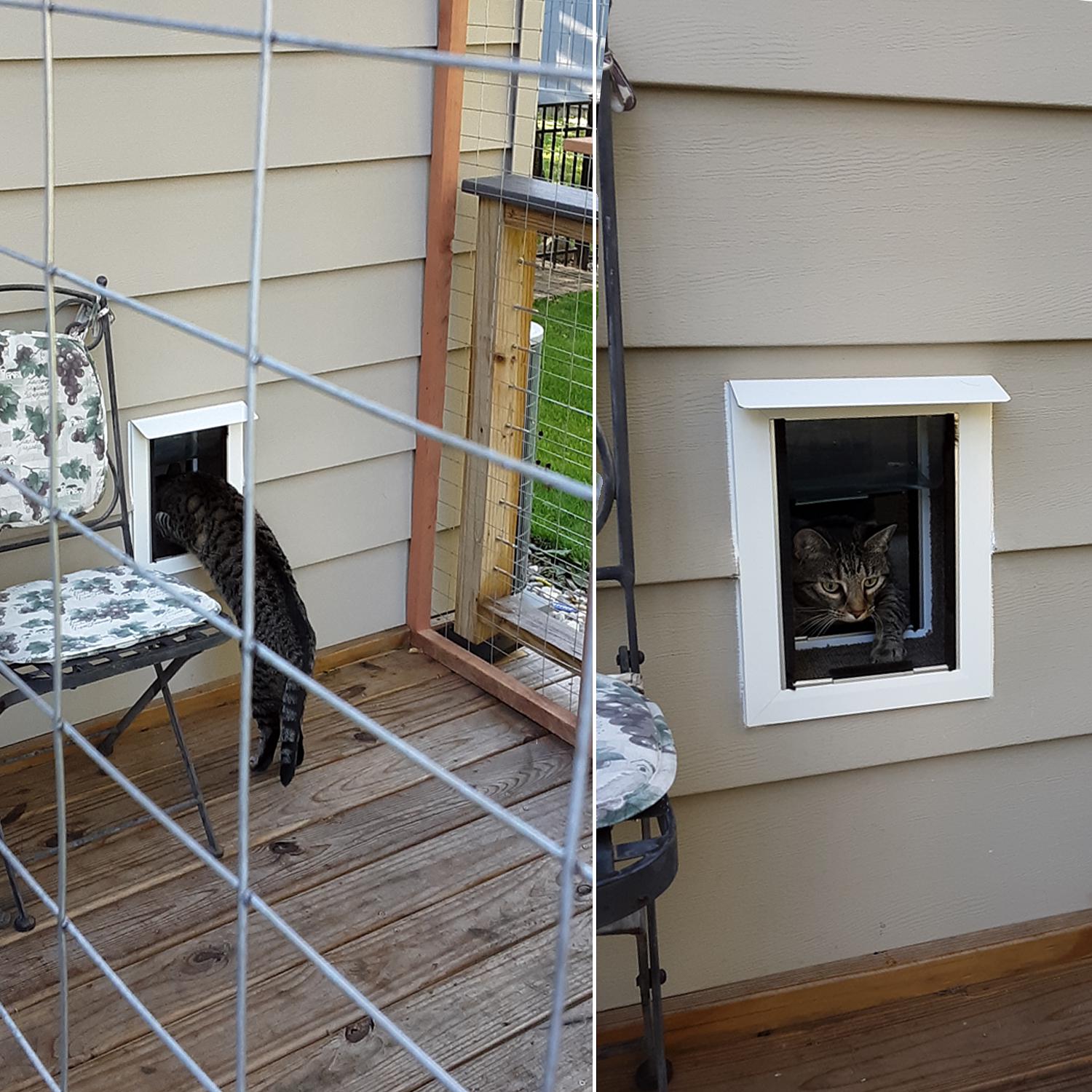 Hale Pet Door for Walls | Secure In Wall Mount Dog Door & Cat Door